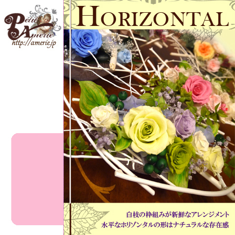 白枝のホリゾンタル
