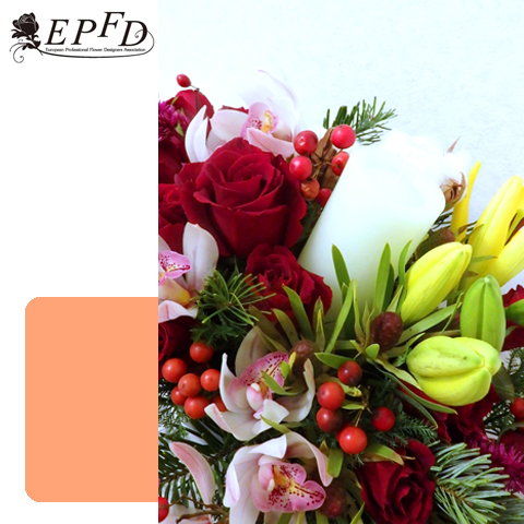 11月クリスマス